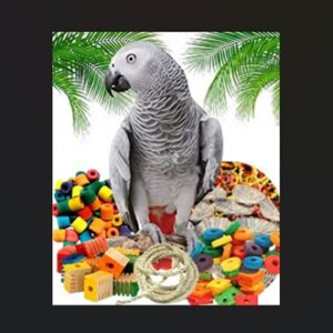 Creatieve workshop: uniek papegaaien speelgoed maken